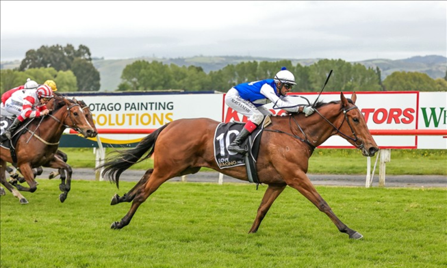 
                          Loose Sally (Turn Me Loose ex Sally's Mustang)
                          